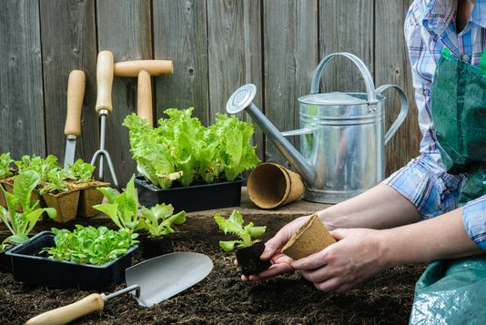 garten-eigener-gartenmoebel-einrichten-wohnen-39 Salat pflanzen