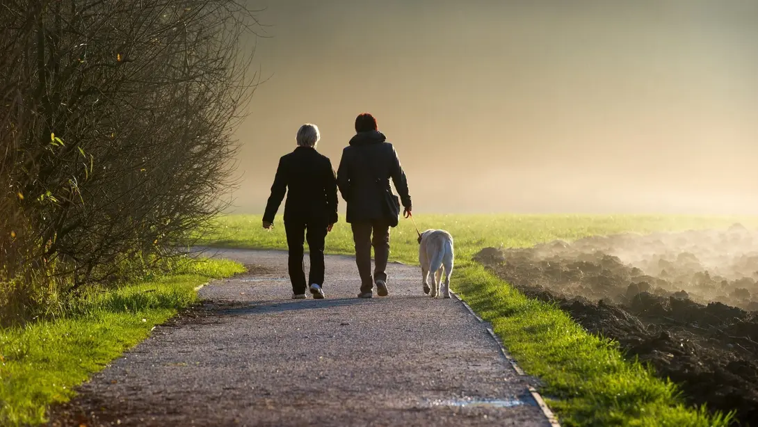 Zwei Personen gehen mit Hund auf einem Feldweg in ländlicher Umgebung als Symbol für Lebensqualität in Mühlenfließ